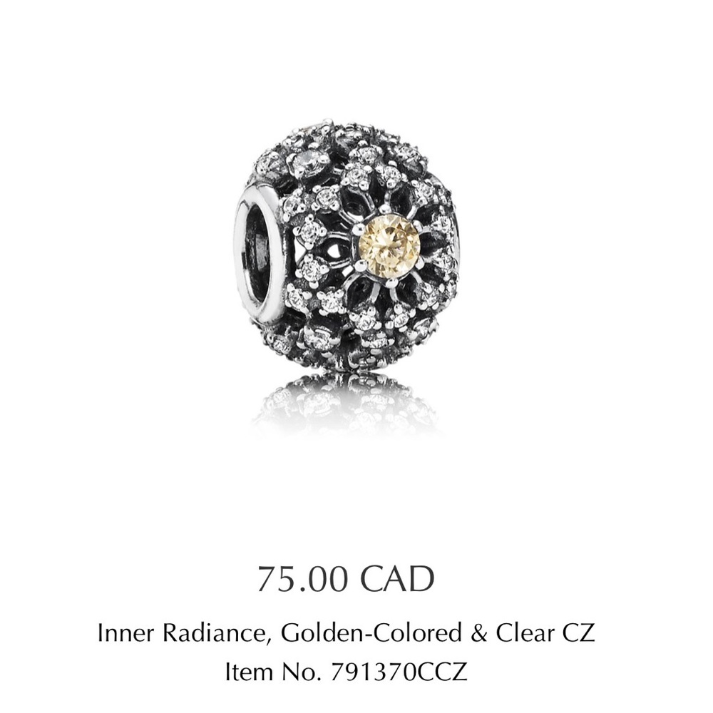 Pandora charm